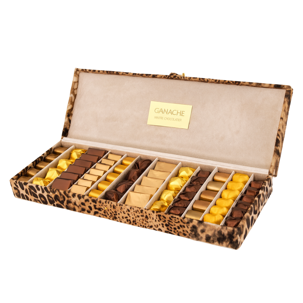 Coffret Safari Chic GA 094